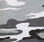 urban woodland